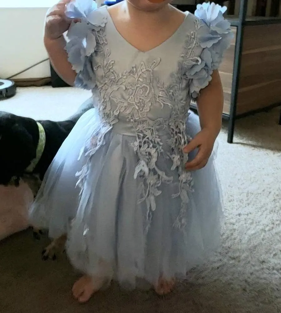 Weileenice Flower Girl Lace Dress Pageant Kids Wedding Christmas Holiday Party Dresses